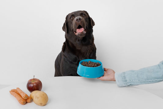 The Ultimate Guide to Dog Nutrition: What Your Vet Wishes You Knew