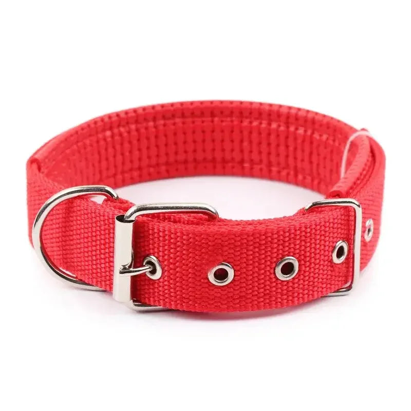 Solid Nylon Dog Collar - Doggo Nest