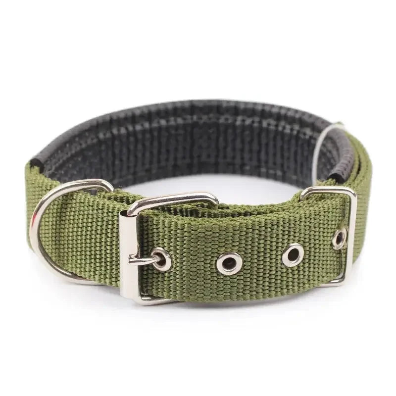 Solid Nylon Dog Collar - Doggo Nest