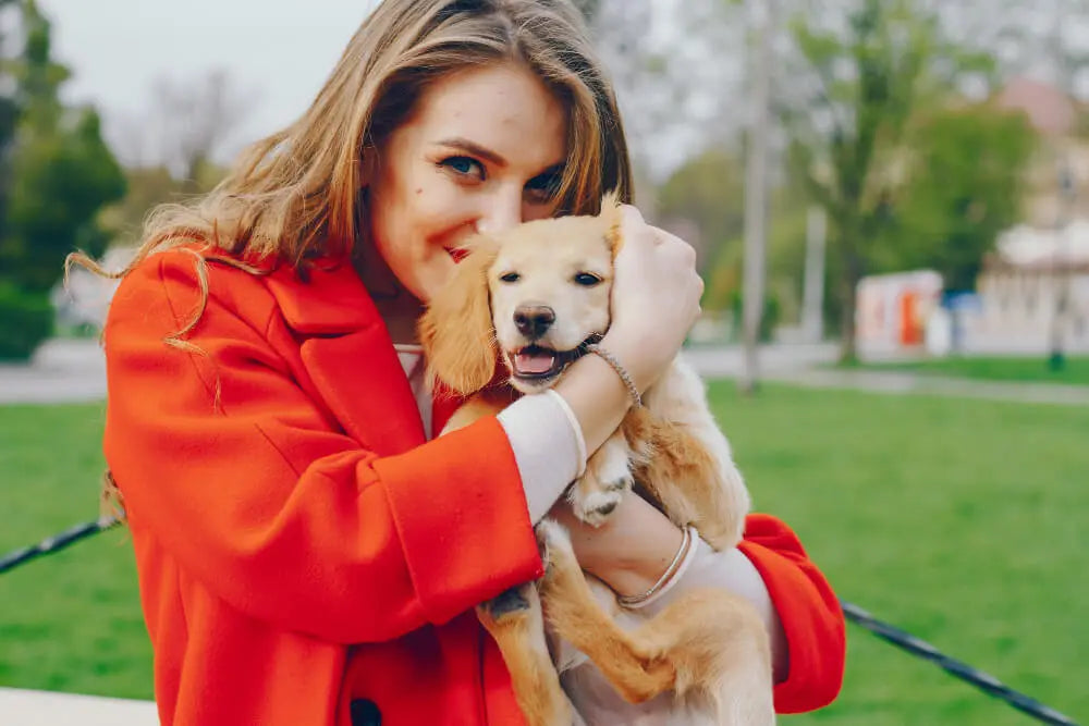 Every Pup Deserves A Nest - DoggoNest