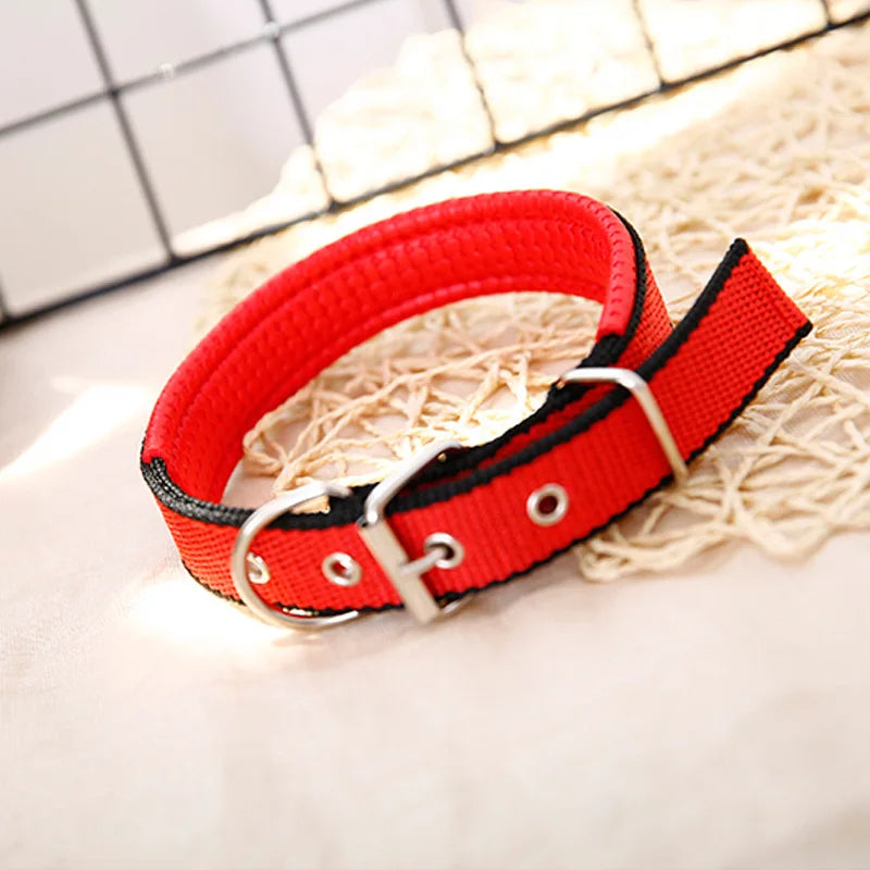 Solid Nylon Dog Collar