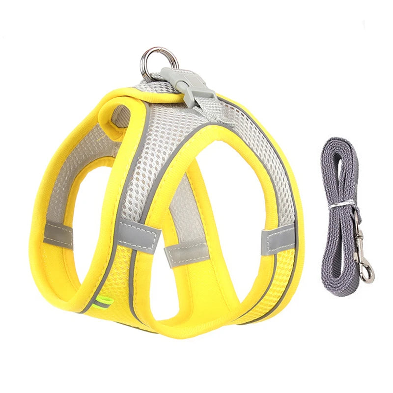 Adjustable Puppy Harness & Leash For Small Dog