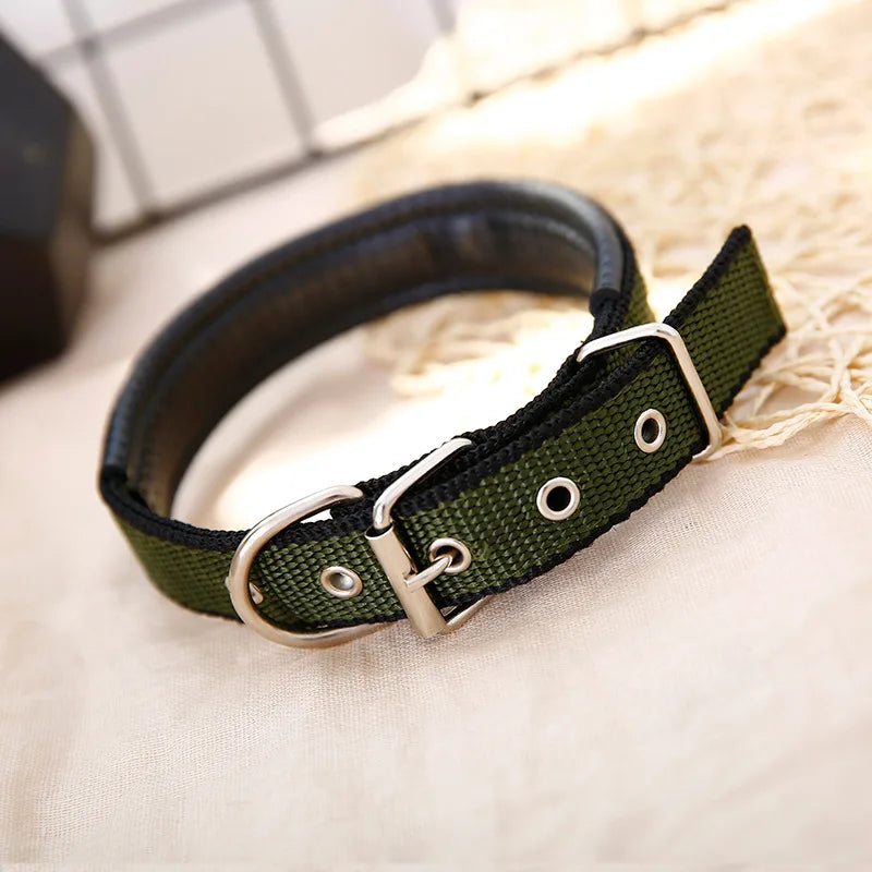 Solid Nylon Dog Collar