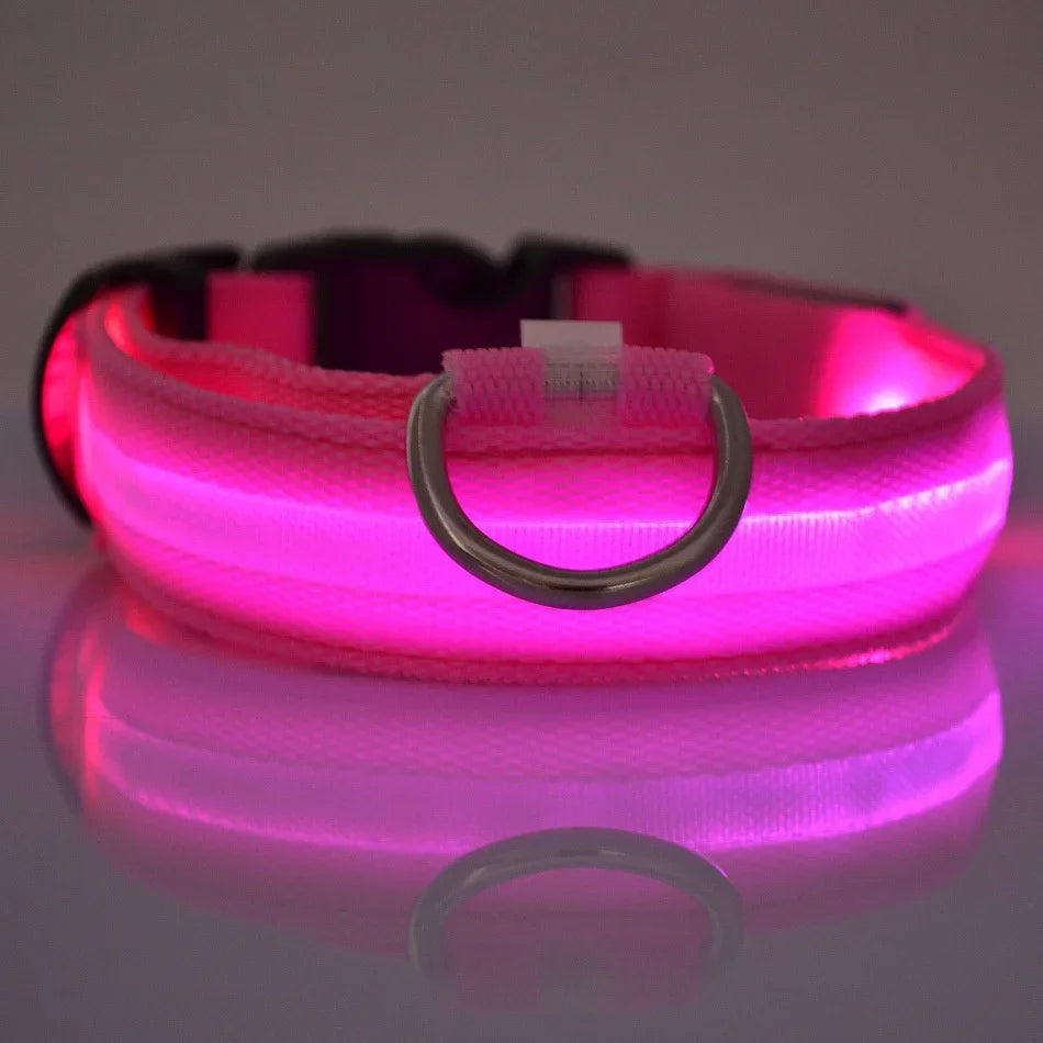 Nylon LED Night Safety Dog Leash and Collar Set