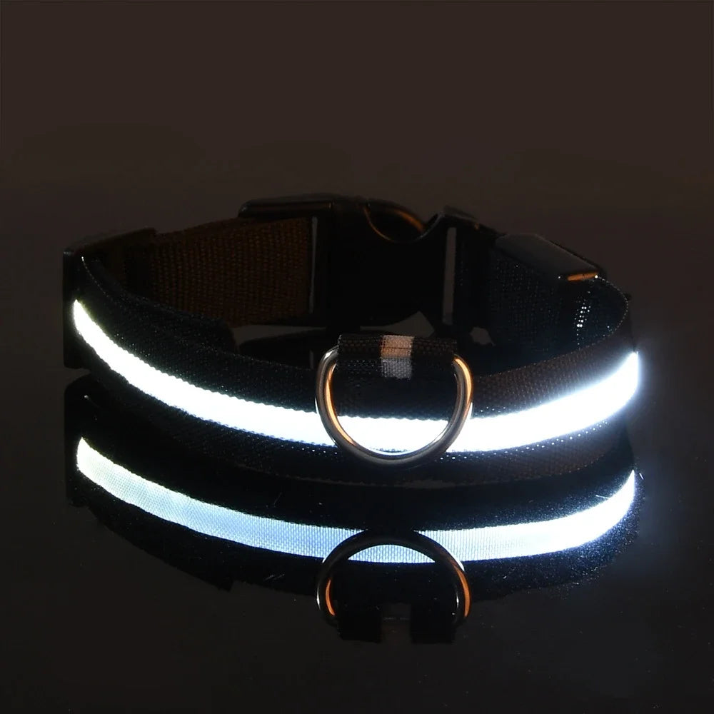 Nylon LED Night Safety Dog Leash and Collar Set