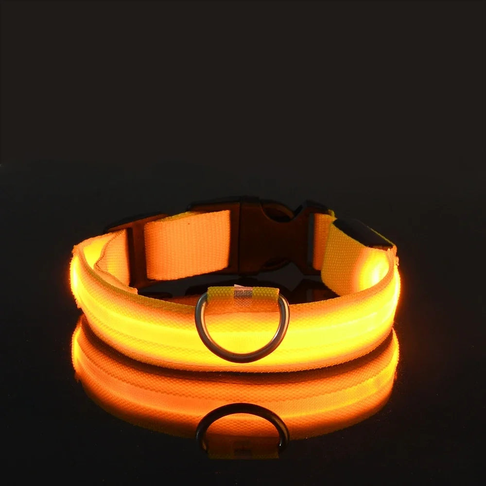 Nylon LED Night Safety Dog Leash and Collar Set