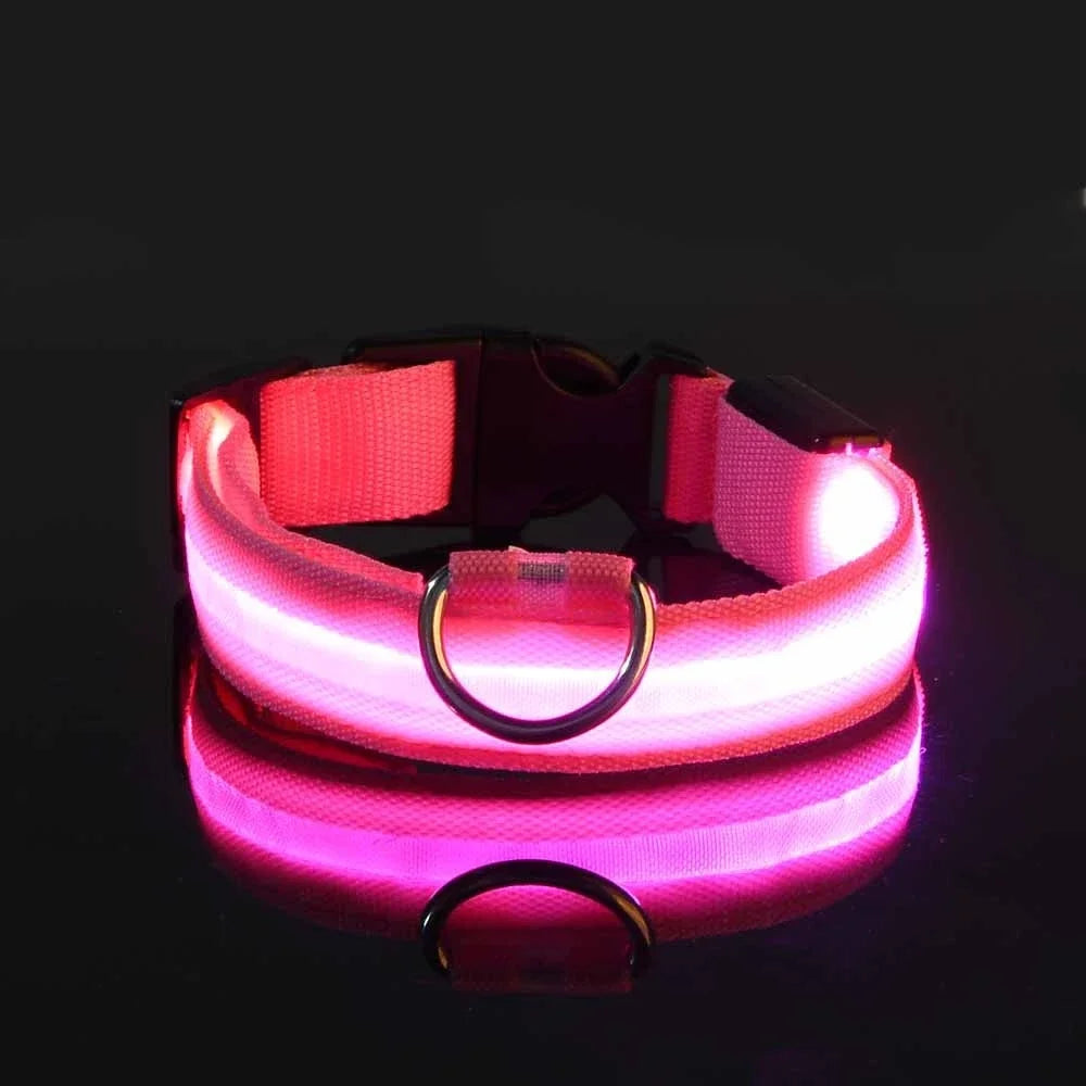 Nylon LED Night Safety Dog Leash and Collar Set