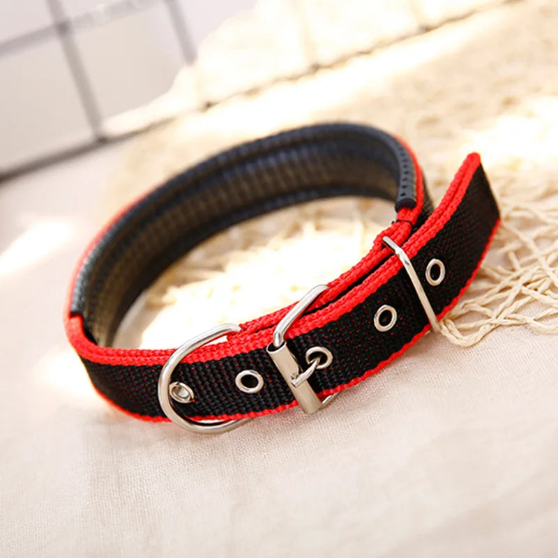 Solid Nylon Dog Collar