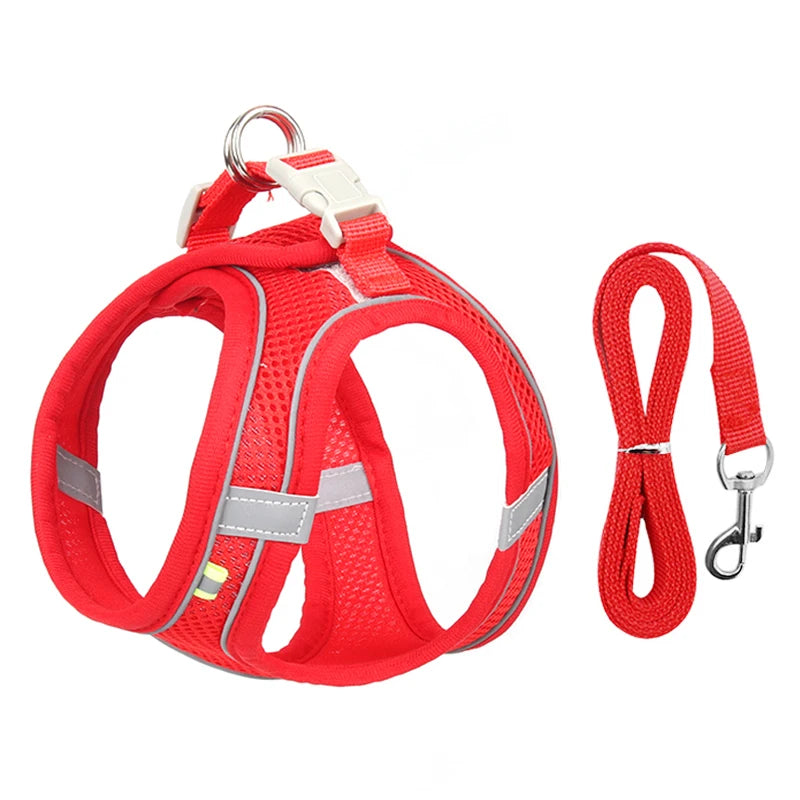 Adjustable Puppy Harness & Leash For Small Dog
