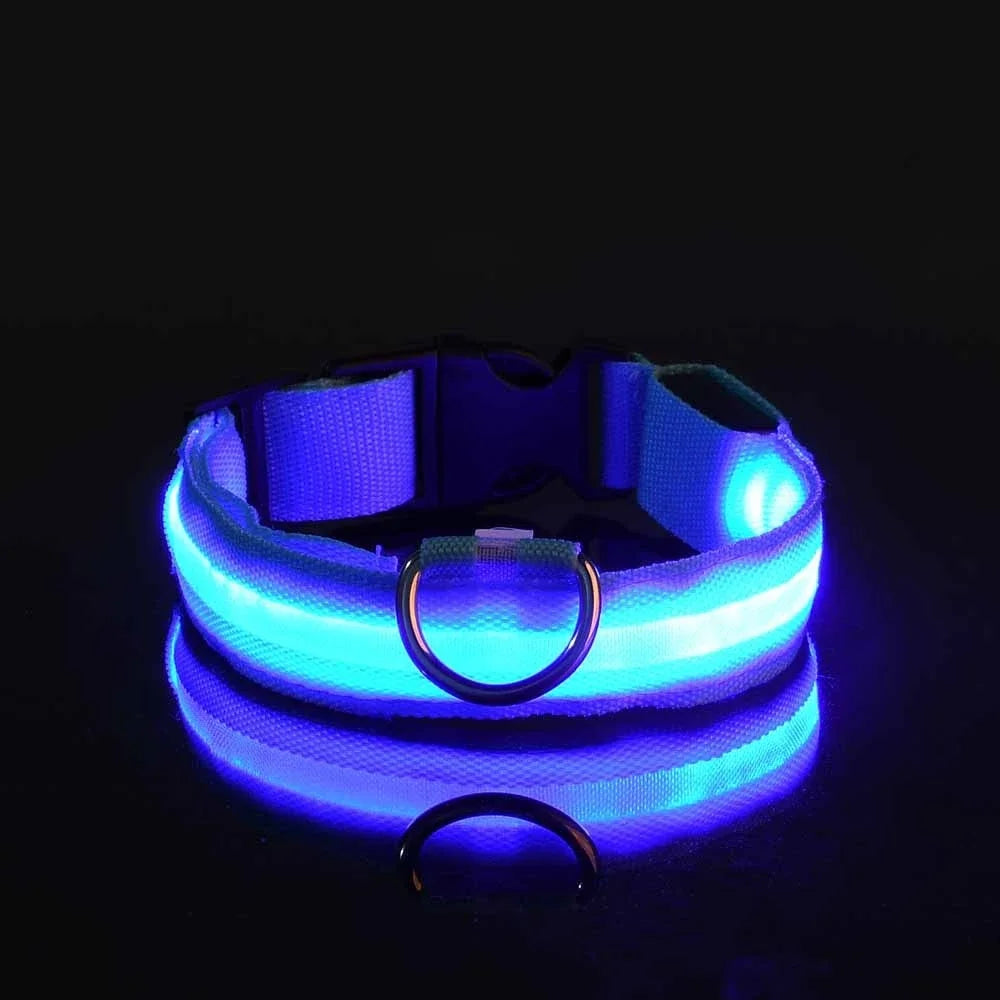 Nylon LED Night Safety Dog Leash and Collar Set
