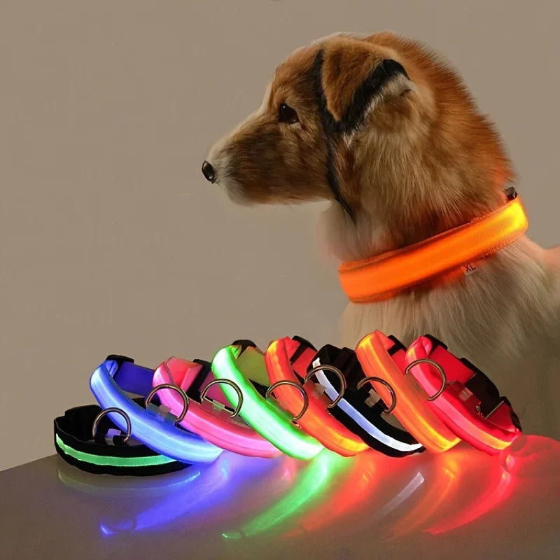 Nylon LED Night Safety Dog Leash and Collar Set