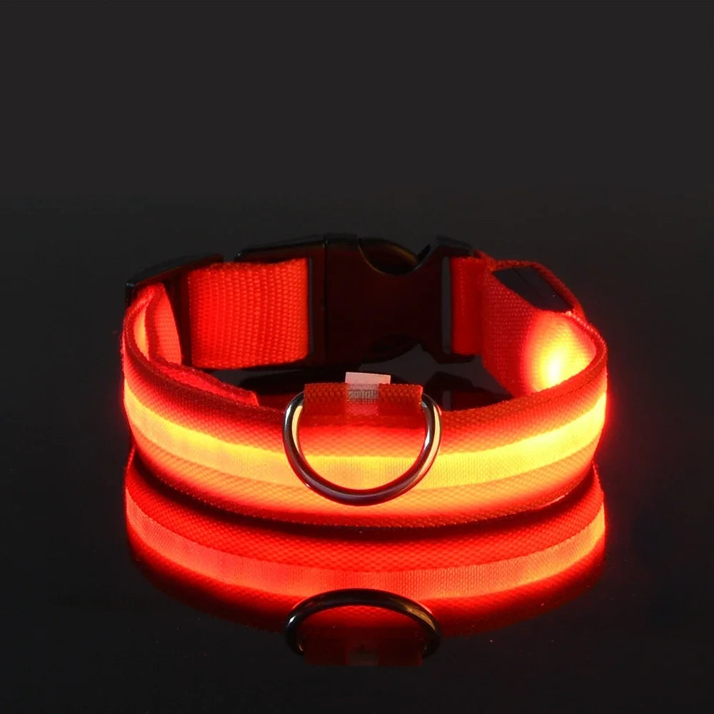 Nylon LED Night Safety Dog Leash and Collar Set