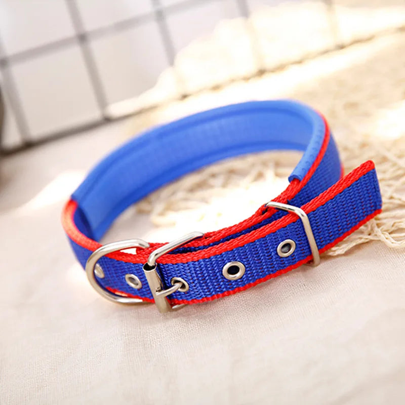 Solid Nylon Dog Collar