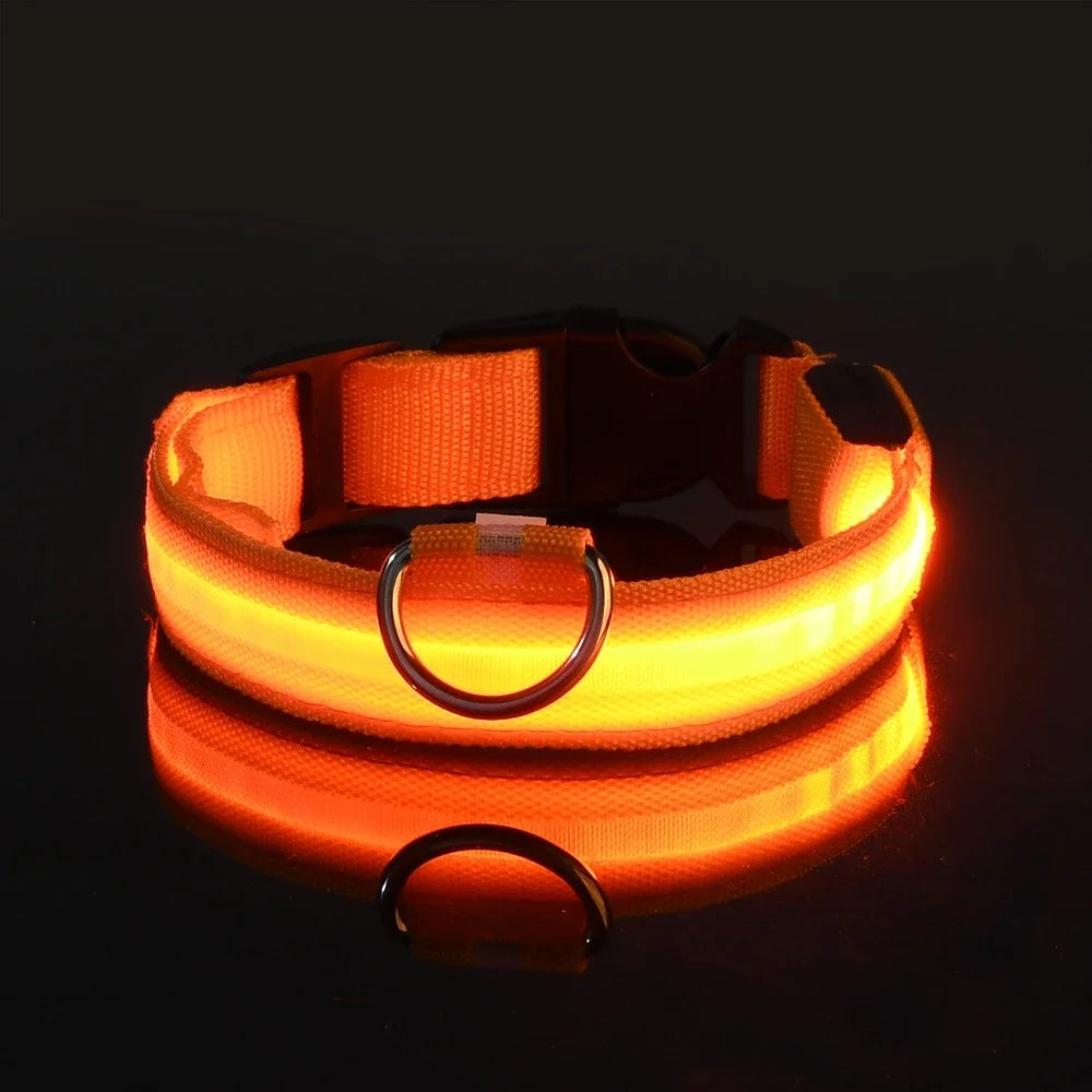 Nylon LED Night Safety Dog Leash and Collar Set