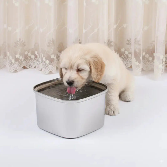 Stainless Steel Dog Water Bowl - Doggo Nest