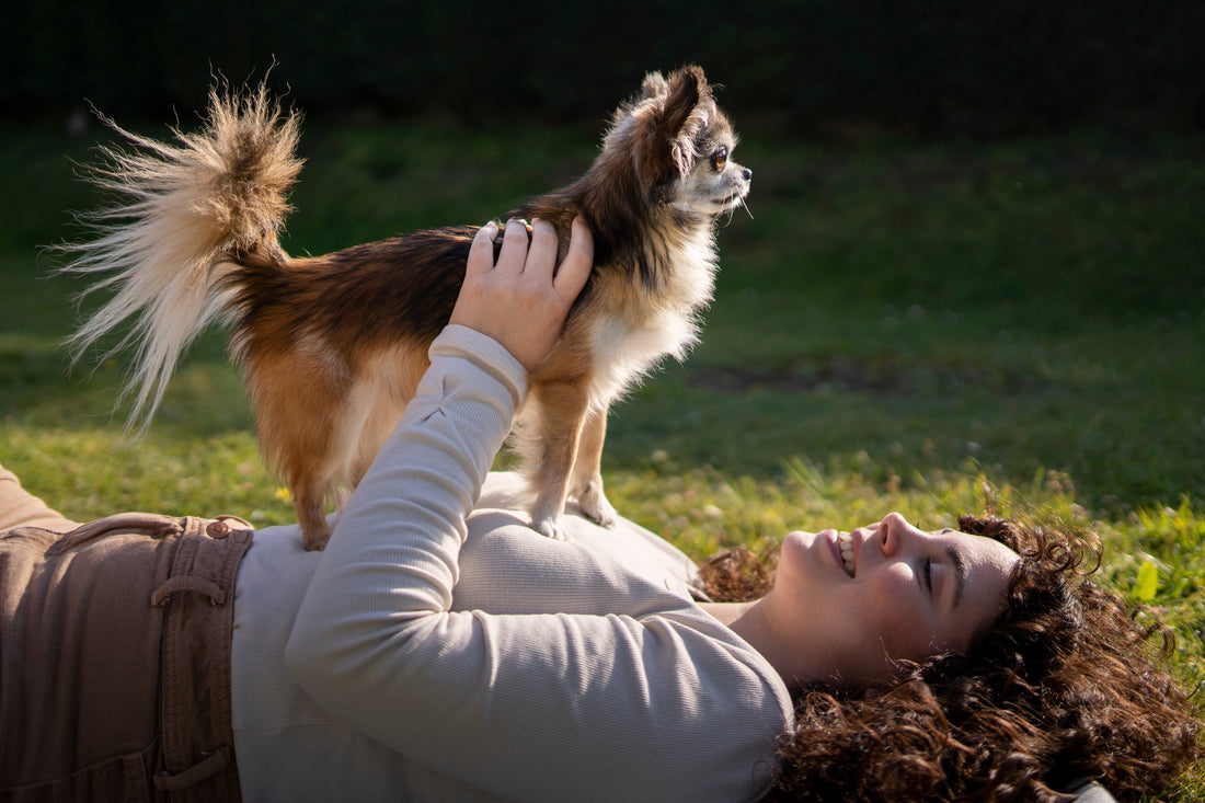 10 Surprising Ways Dogs Improve Your Mental Health Every Day