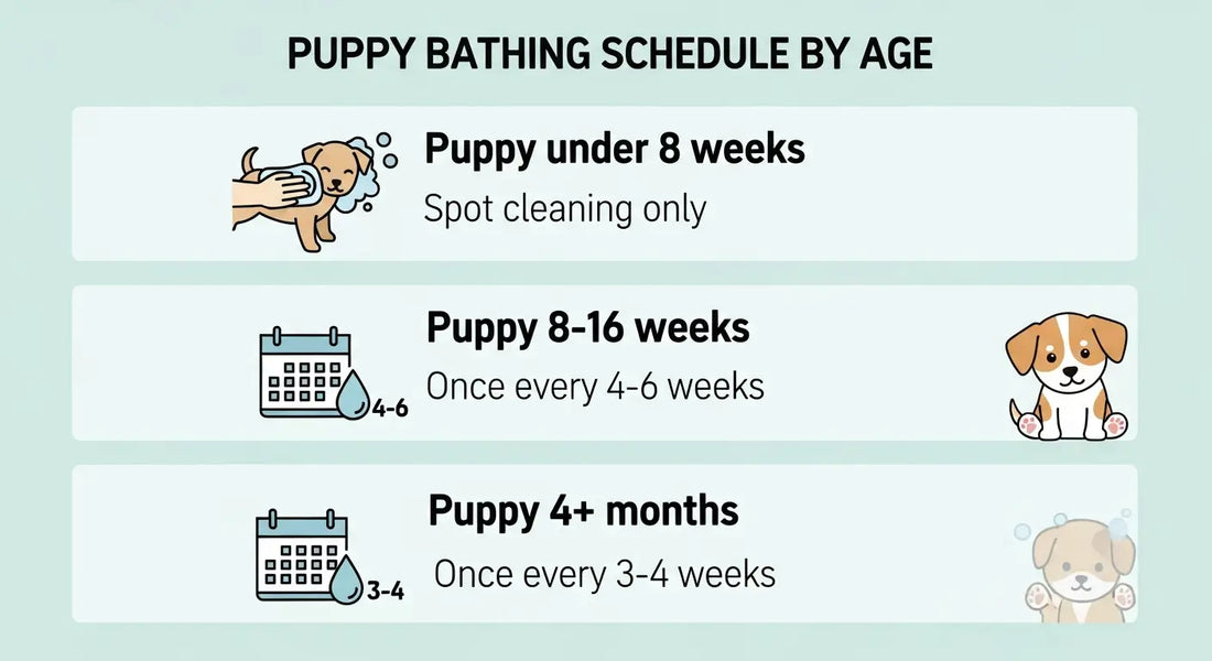 Puppy bathing schedule chart showing how often to bathe a puppy at different ages from 8 weeks to 4 months and older