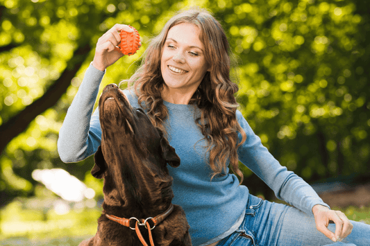 Dog owner using positive reinforcement training methods