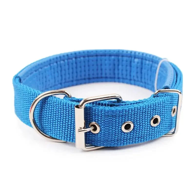 Solid Nylon Dog Collar - Doggo Nest