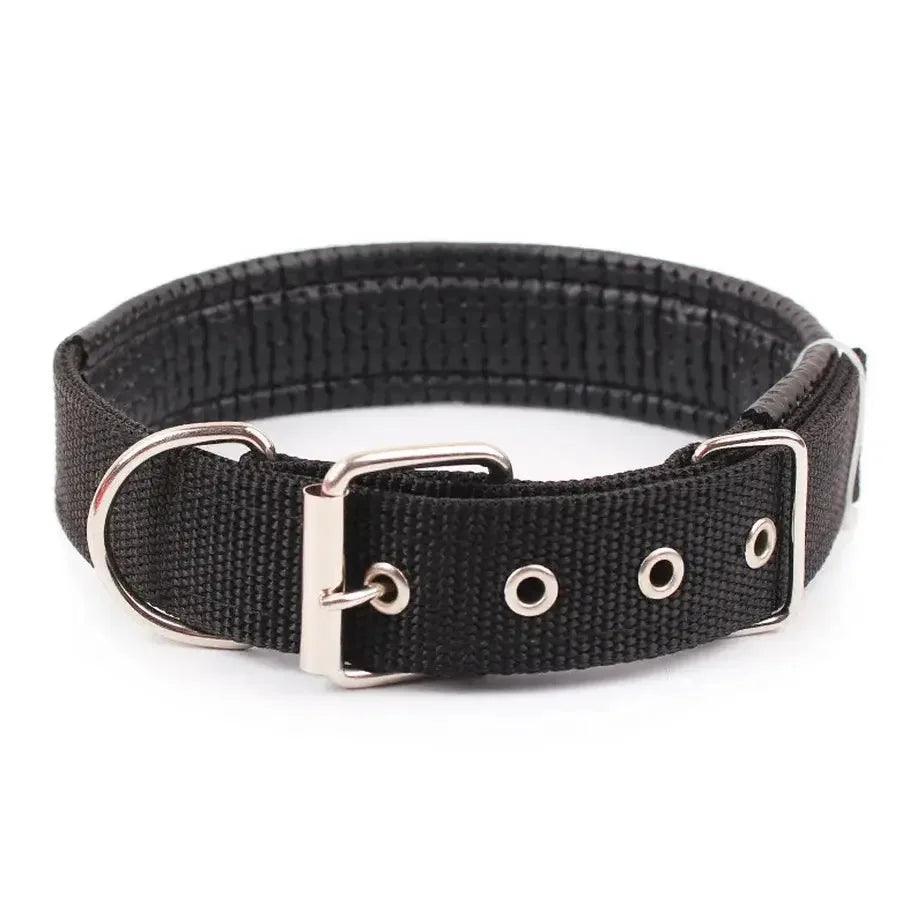 Solid Nylon Dog Collar - Doggo Nest