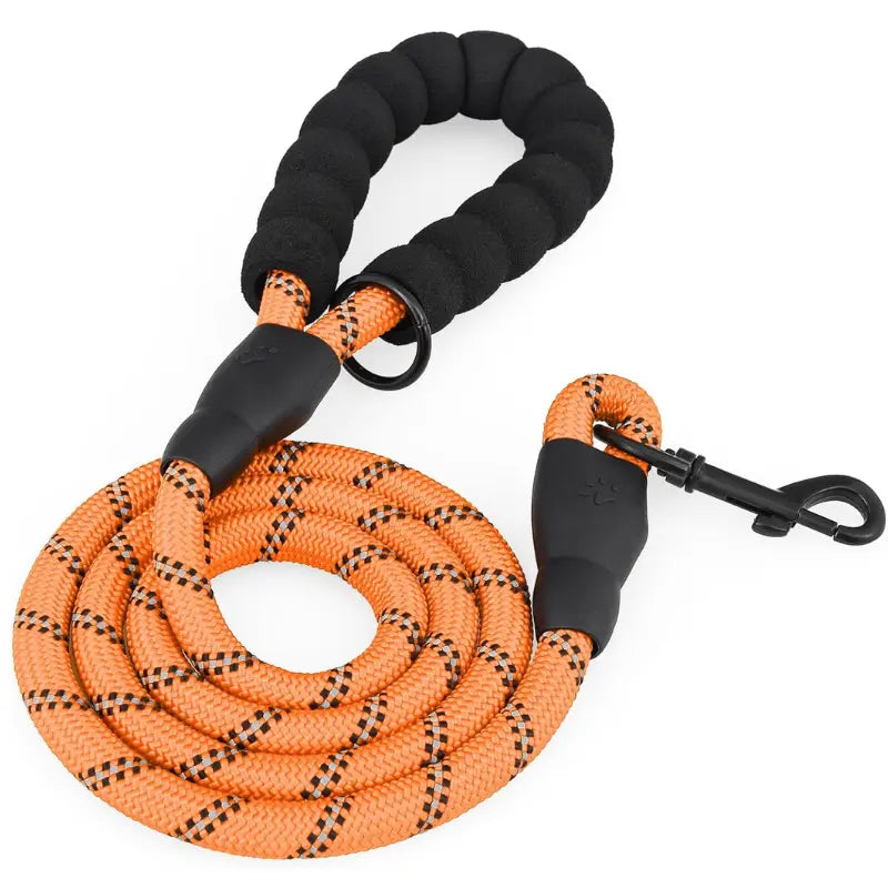 Reflective Nylon Dog Leash, Strong Rope Leash for Safe Walks - Doggo Nest