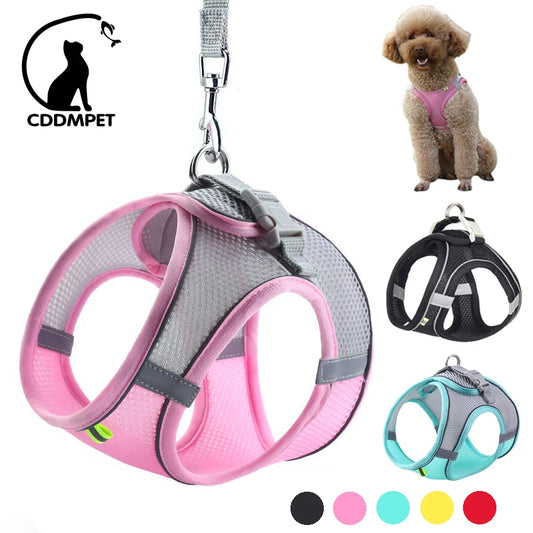 Adjustable Puppy Harness & Leash For Small Dog