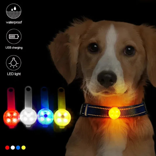 USB Rechargeable LED Dog Collar