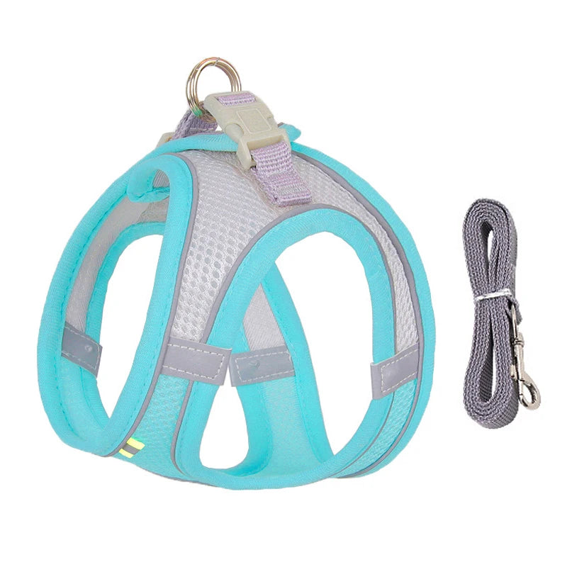 Adjustable Puppy Harness & Leash For Small Dog