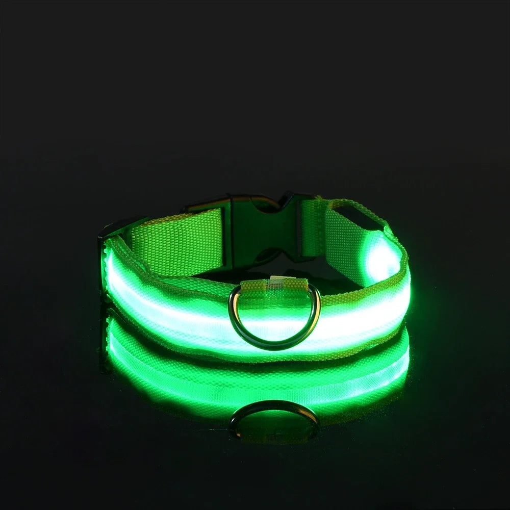 Nylon LED Night Safety Dog Leash and Collar Set