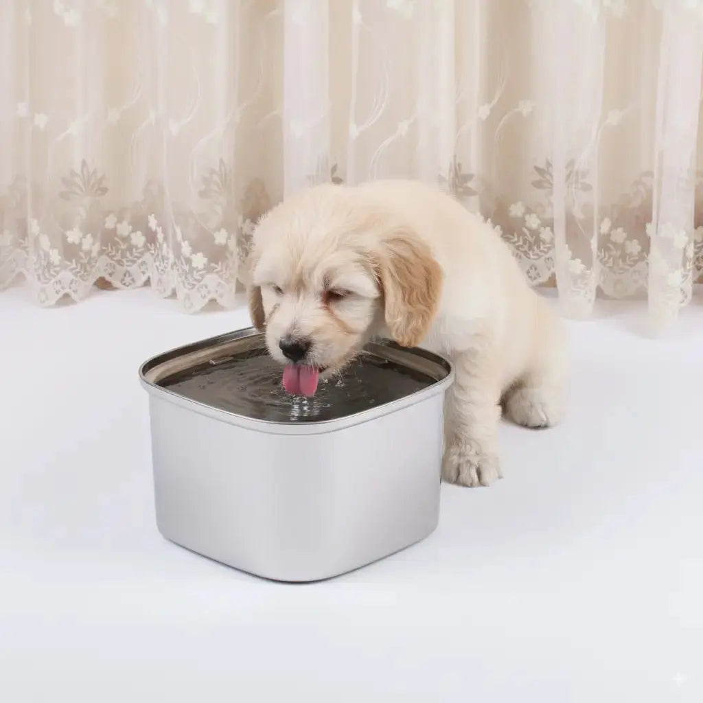 Stainless Steel Dog Water Bowl - Doggo Nest